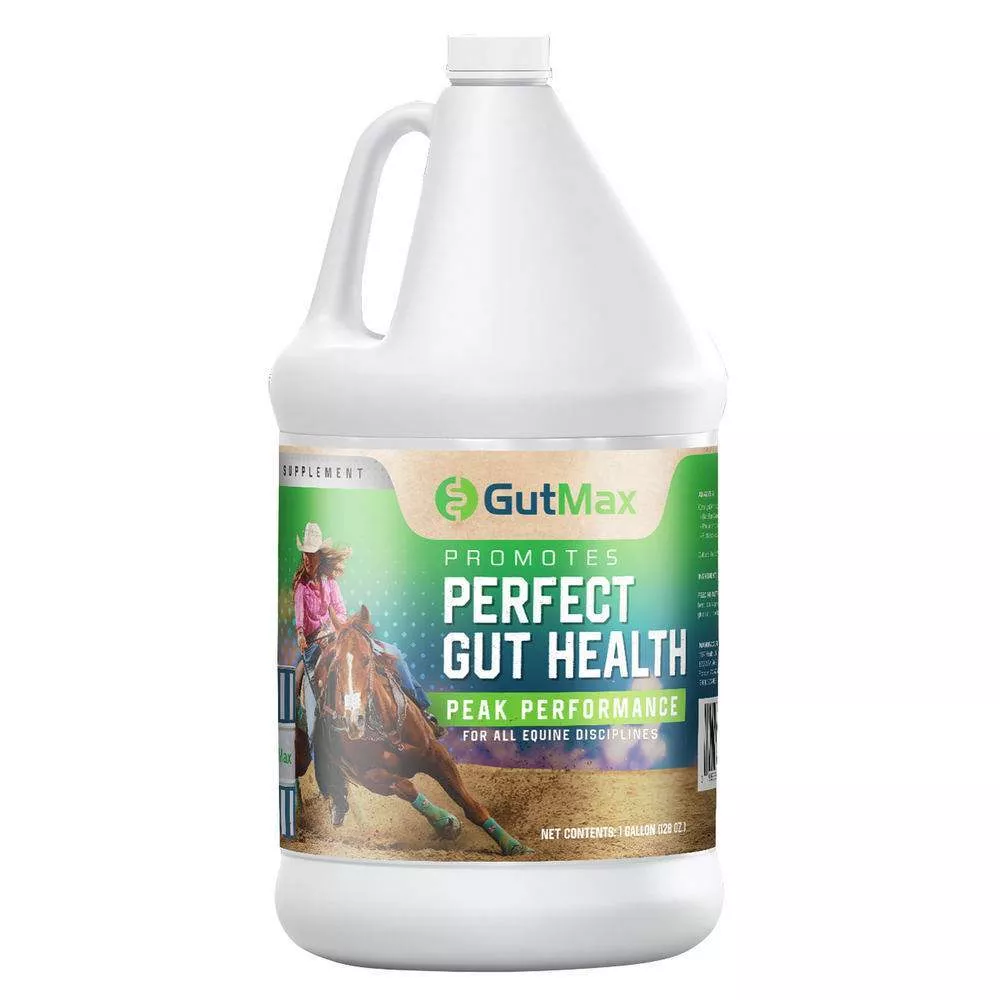 1197 Health GutMax