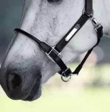 'AERO' LEATHER HALTER