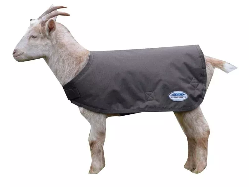 Weatherbeeta Goat Coat
